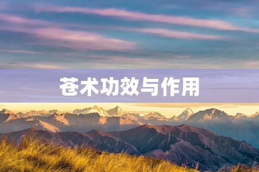 苍术功效与作用:探索中草药的神奇力量