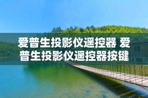 爱普生投影仪遥控器 爱普生投影仪遥控器按键图解说明 爱普生投影仪遥控器 爱普生投影仪遥控器按键图解说明