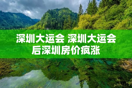 深圳大运会 深圳大运会后深圳房价疯涨 深圳大运会 深圳大运会后深圳房价疯涨