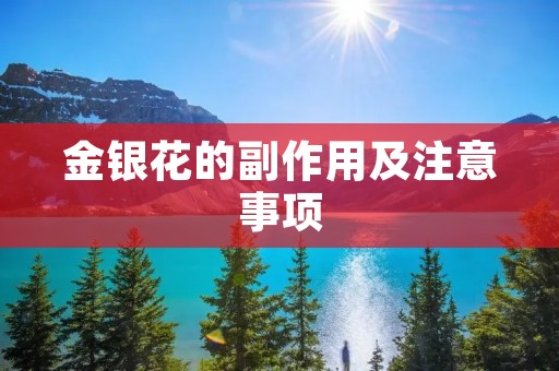 金银花的副作用及注意事项