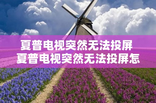 夏普电视突然无法投屏 夏普电视突然无法投屏怎么回事