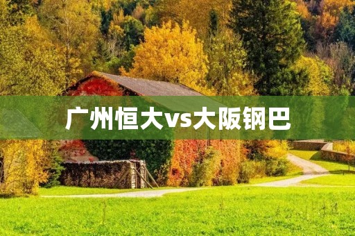 广州恒大vs大阪钢巴:亚冠比赛的激烈对决 广州恒大vs大阪钢巴:亚冠比赛的激烈对决