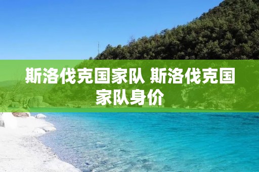 斯洛伐克国家队 斯洛伐克国家队身价