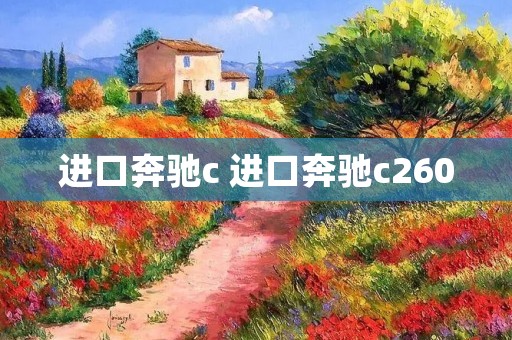 进口奔驰c 进口奔驰c260