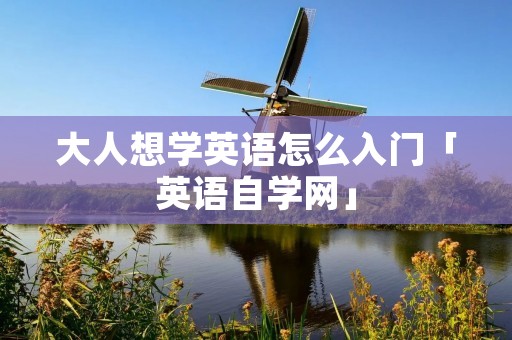 大人想学英语怎么入门「英语自学网」