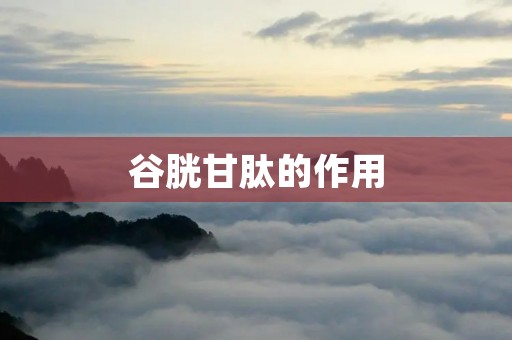 谷胱甘肽的作用