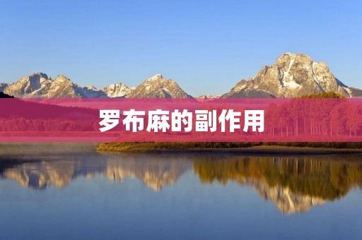 罗布麻的副作用:了解这种草药的潜在风险