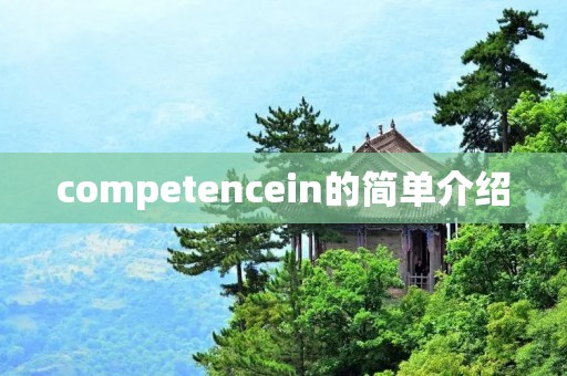 competencein的简单介绍