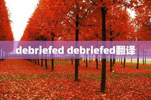 debriefed debriefed翻译 debriefed debriefed翻译