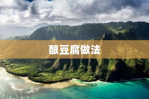 酿豆腐做法：传统美味的制作流程与独特口感