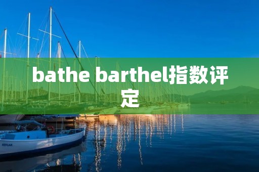 bathe barthel指数评定
