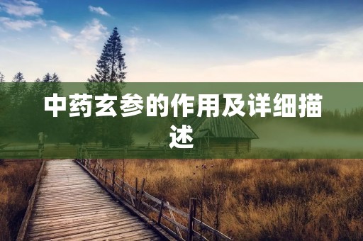 中药玄参的作用及详细描述