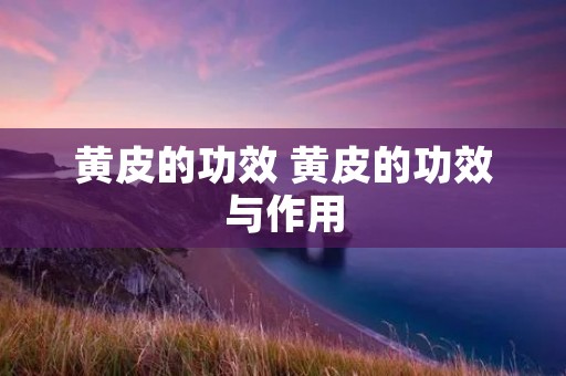 黄皮的功效 黄皮的功效与作用