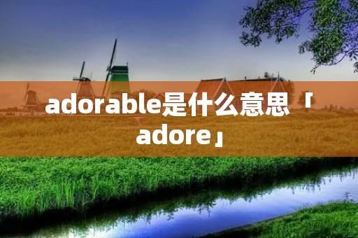 adorable是什么意思「adore」