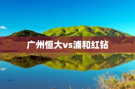 广州恒大vs浦和红钻：亚冠巅峰对决