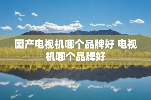 国产电视机哪个品牌好 电视机哪个品牌好