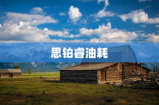 思铂睿油耗:提升燃油经济性,享受出行乐趣 思铂睿油耗:提升燃油经济性,享受出行乐趣