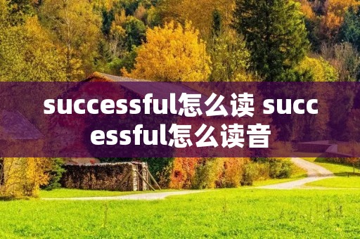 successful怎么读 successful怎么读音