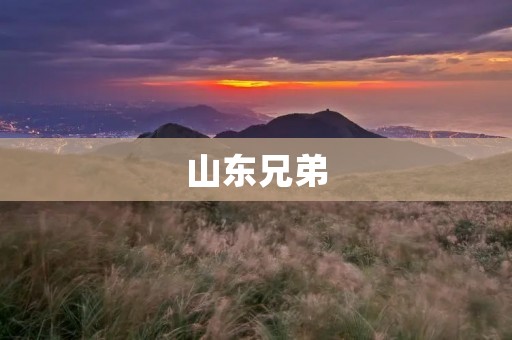 山东兄弟：一段传奇的友谊故事