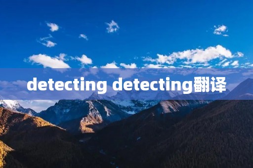 detecting detecting翻译