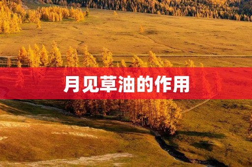 月见草油的作用:解读月见草油的五大功效