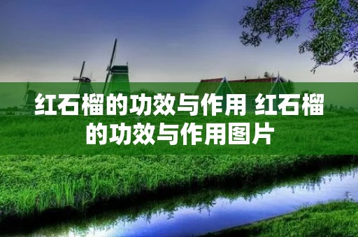 红石榴的功效与作用 红石榴的功效与作用图片