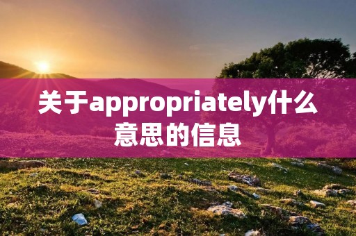关于appropriately什么意思的信息