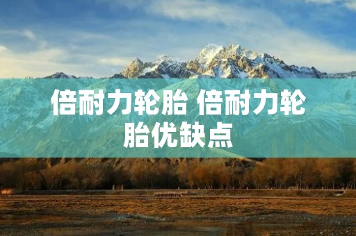 倍耐力轮胎 倍耐力轮胎优缺点