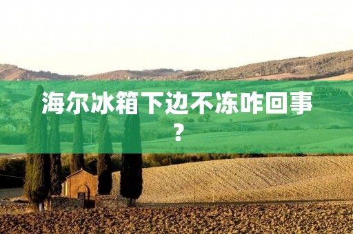 海尔冰箱下边不冻咋回事？