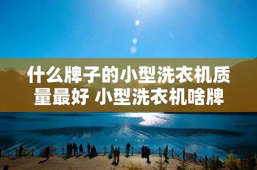 什么牌子的小型洗衣机质量最好 小型洗衣机啥牌子好 什么牌子的小型洗衣机质量最好 小型洗衣机啥牌子好
