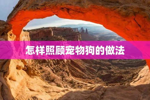 怎样照顾宠物狗的做法 怎样照顾宠物狗的做法