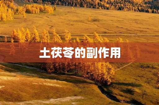 土茯苓的副作用:了解这些风险,保护自己的健康