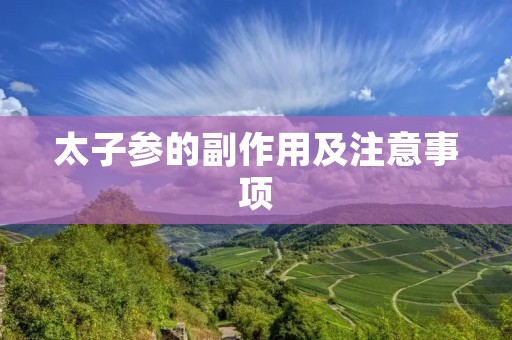 太子参的副作用及注意事项