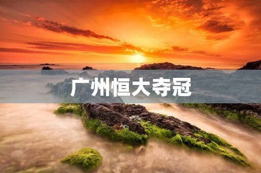 广州恒大夺冠:卫冕之路再铸辉煌 广州恒大夺冠:卫冕之路再铸辉煌