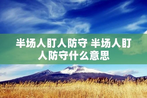 半场人盯人防守 半场人盯人防守什么意思