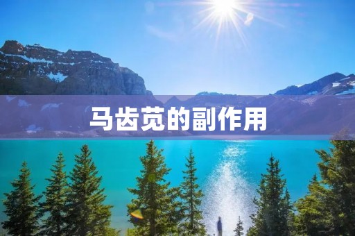 马齿苋的副作用：详细解析与注意事项