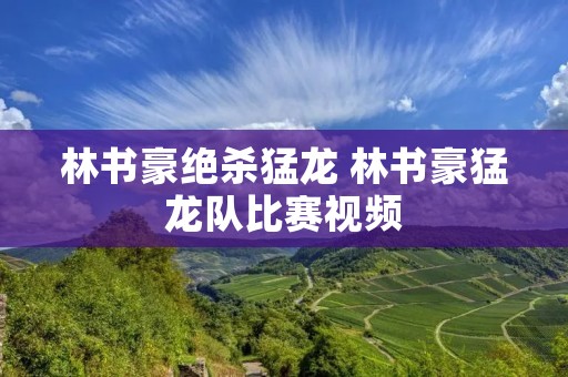 林书豪绝杀猛龙 林书豪猛龙队比赛视频