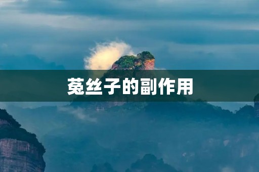 菟丝子的副作用：了解这些潜在风险，保护自己的健康