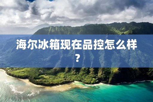 海尔冰箱现在品控怎么样？