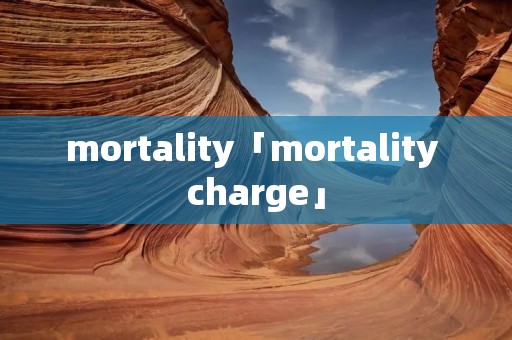 mortality「mortality charge」