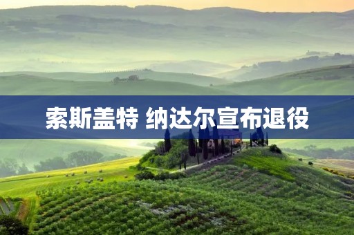 索斯盖特 纳达尔宣布退役