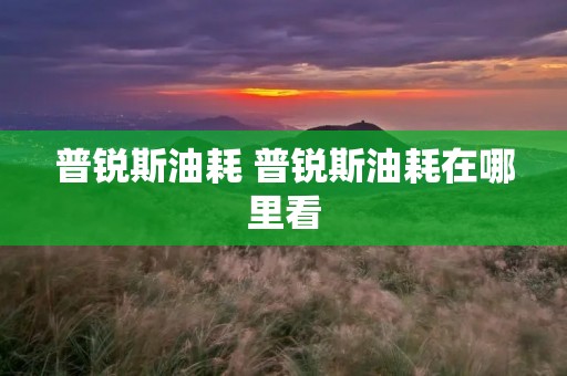 普锐斯油耗 普锐斯油耗在哪里看