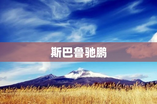 斯巴鲁驰鹏:开启驰鹏时代的高性能座驾 斯巴鲁驰鹏:开启驰鹏时代的高性能座驾