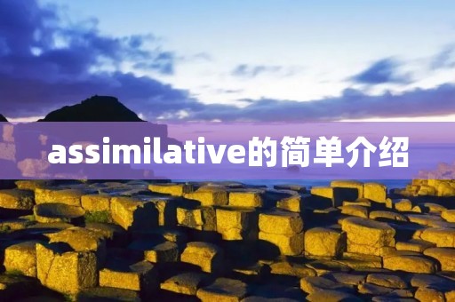 assimilative的简单介绍