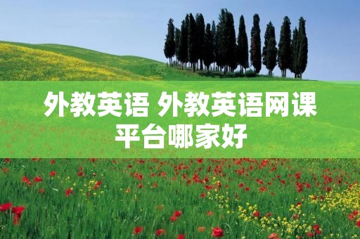 外教英语 外教英语网课平台哪家好