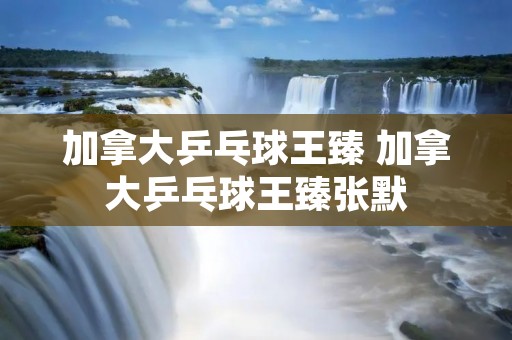 加拿大乒乓球王臻 加拿大乒乓球王臻张默