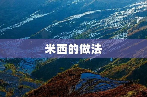 米西的做法:传统美味的烹饪艺术 米西的做法:传统美味的烹饪艺术