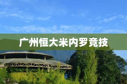 广州恒大米内罗竞技:中超与解放者杯的双线作战 广州恒大米内罗竞技:中超与解放者杯的双线作战