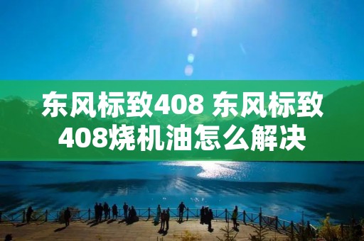 东风标致408 东风标致408烧机油怎么解决
