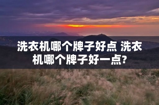 洗衣机哪个牌子好点 洗衣机哪个牌子好一点? 洗衣机哪个牌子好点 洗衣机哪个牌子好一点?